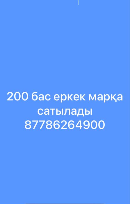200 бас еркек марқа сатылады