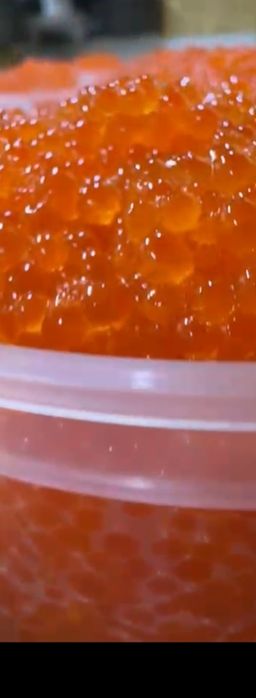 Икра горбуши. Лососевая икра. Икра форели.