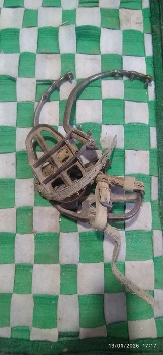 Kagte sotiladi soni 8 juft