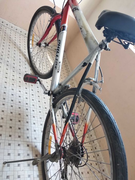 Продам велик Phillips