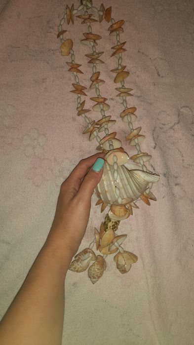 Ракушки морские разные