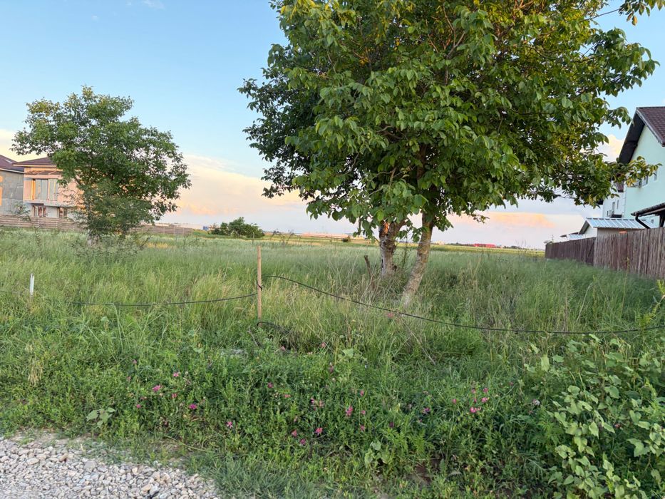 Teren intravilan 1.500 mp de vânzare – Strada Castanului, Tunari