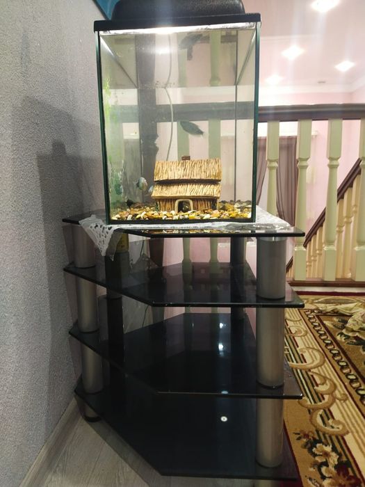 Продам аквариум с подставкой