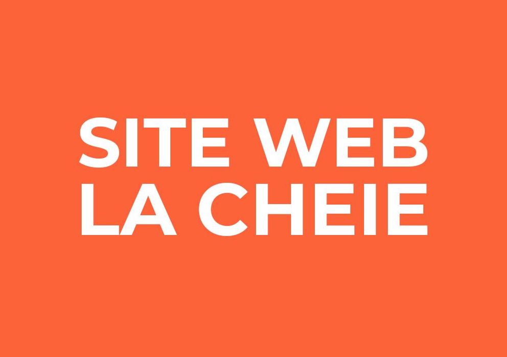 Site Web Prezentare sau Magazin Online? #Rezultate la un Pret Corect