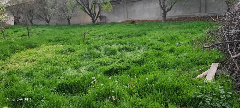 Киров махаллада ер сотилади