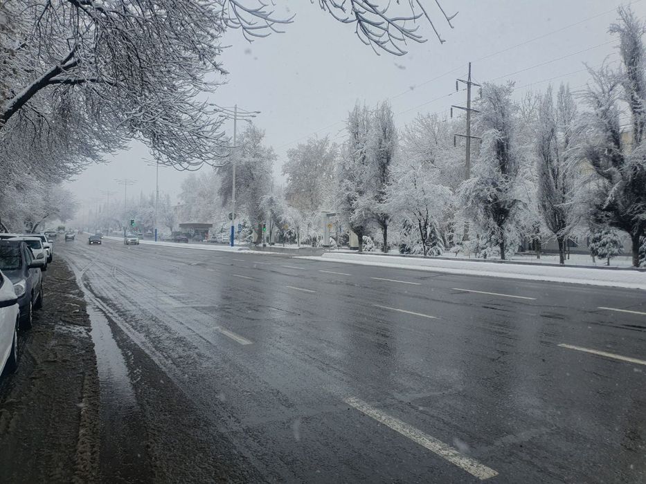 Аренда помещения ЭкоБазар перекресток Чимган