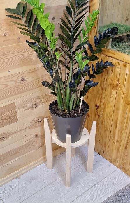 Кашпо и подставки для цветов