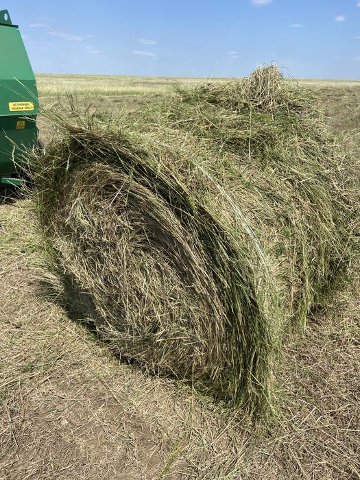 Продам сено в рулонах