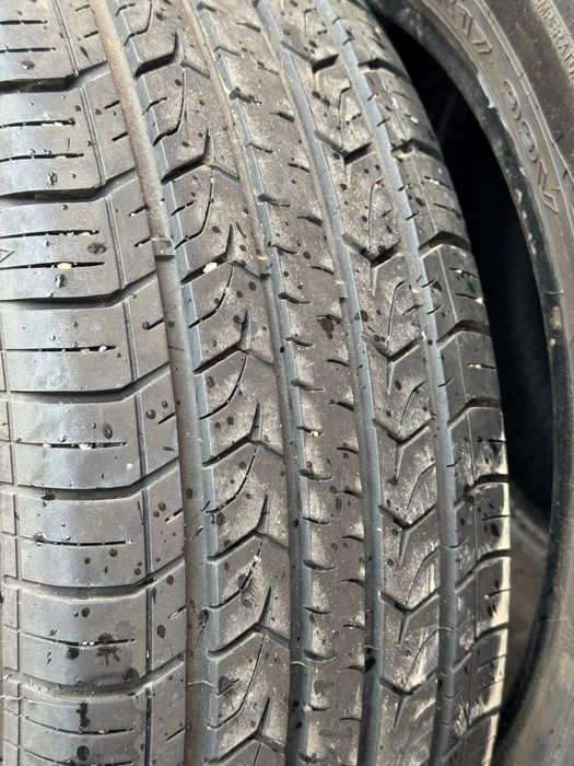 Шина ризина летняя