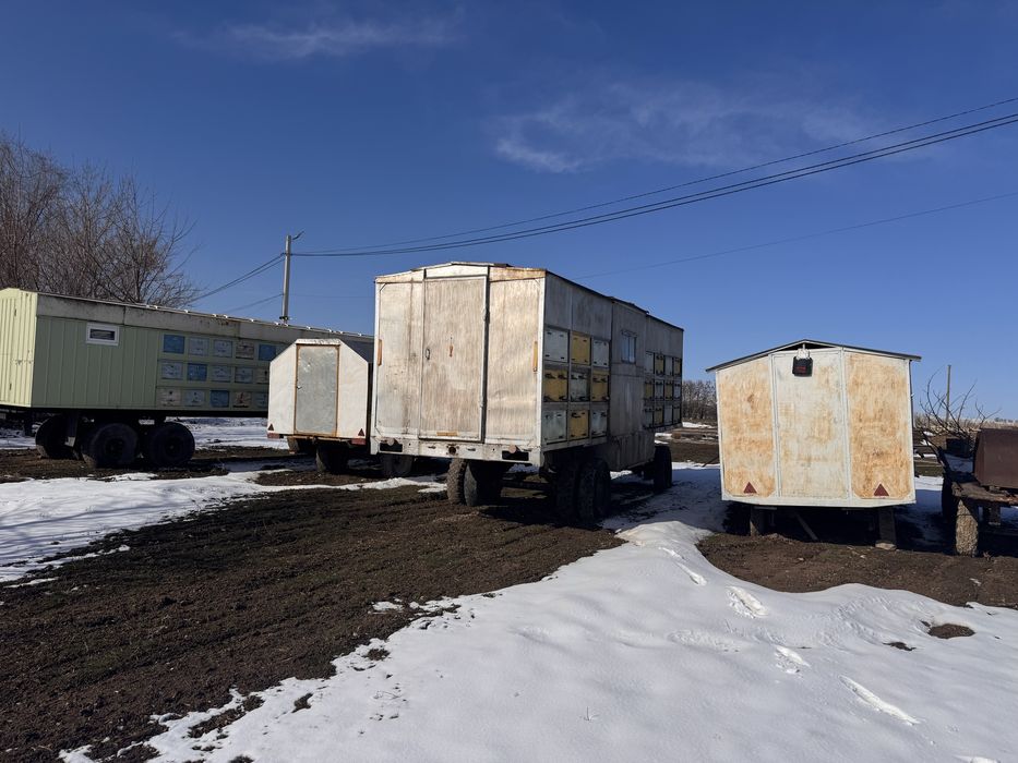 Пчелоприцепы 4 прицепа