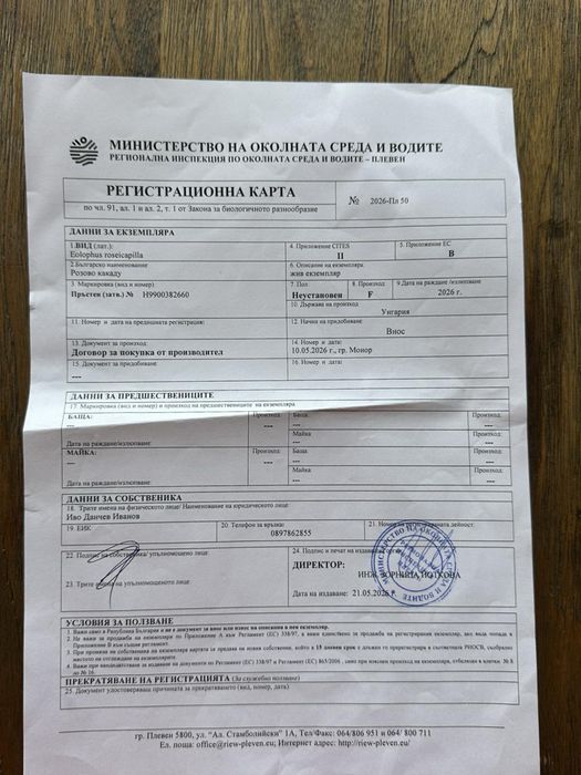 Какаду розово на 4 месеца