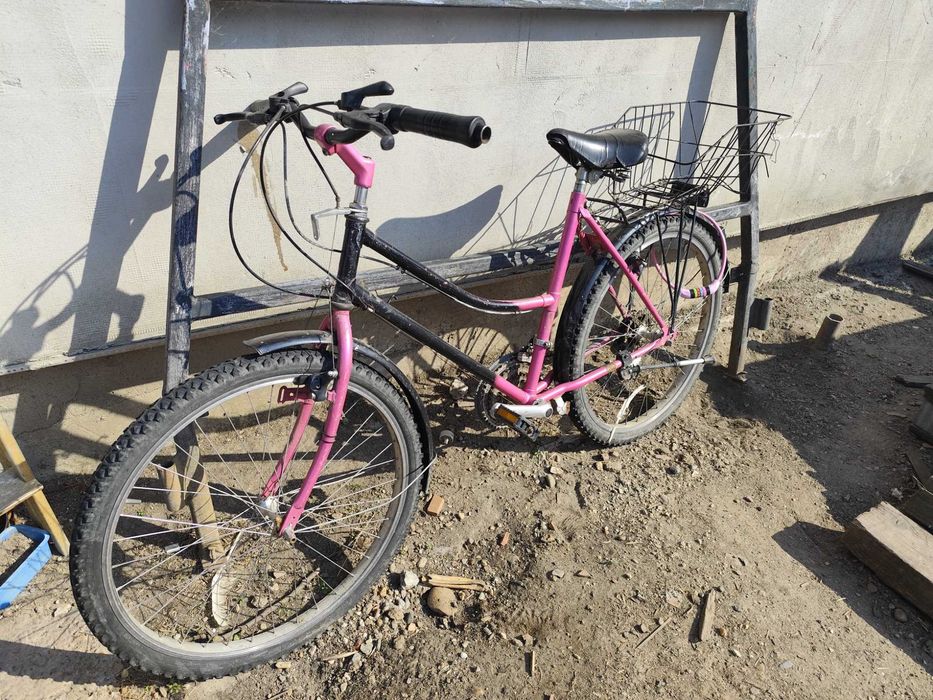 Bicicleta damă Mountainbike
