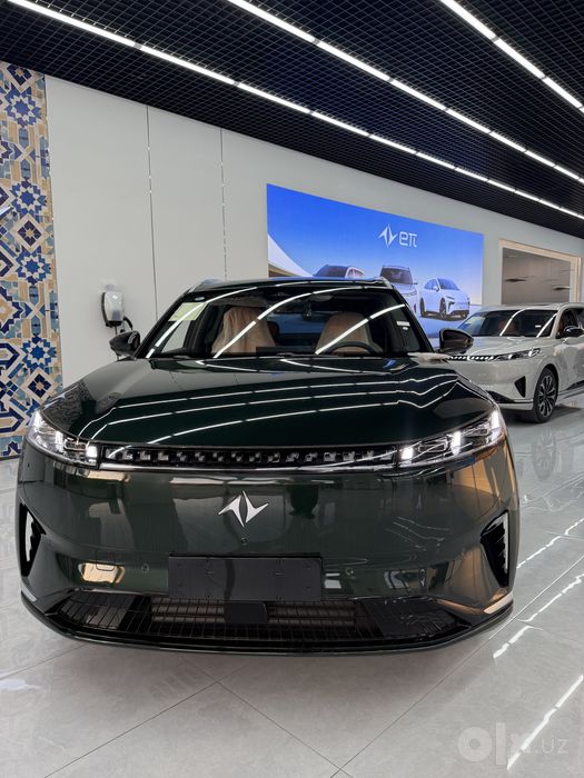 Dongfeng 008 hybrid max