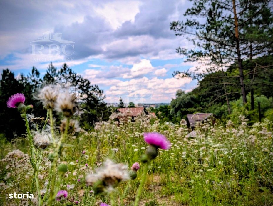 Teren intravilan pentru constructie casa in Cheile Baciului