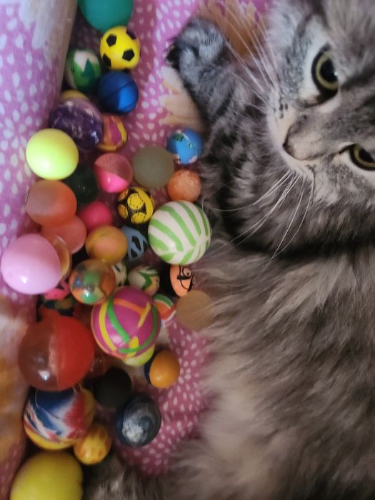 Мячи попрыгунчики