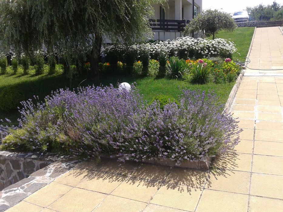 Дава под наем 3-СТАЕН, ЛОЗЕНЕЦ, ОБЛАСТ БУРГАС, до Гардения, лято 2026