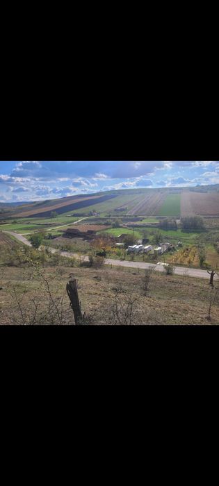 Casă consteucție noă cu 4,5ha de teren de vanzare