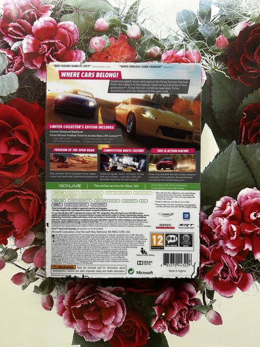 Vand Forza Horizon Limited Colectors edition
