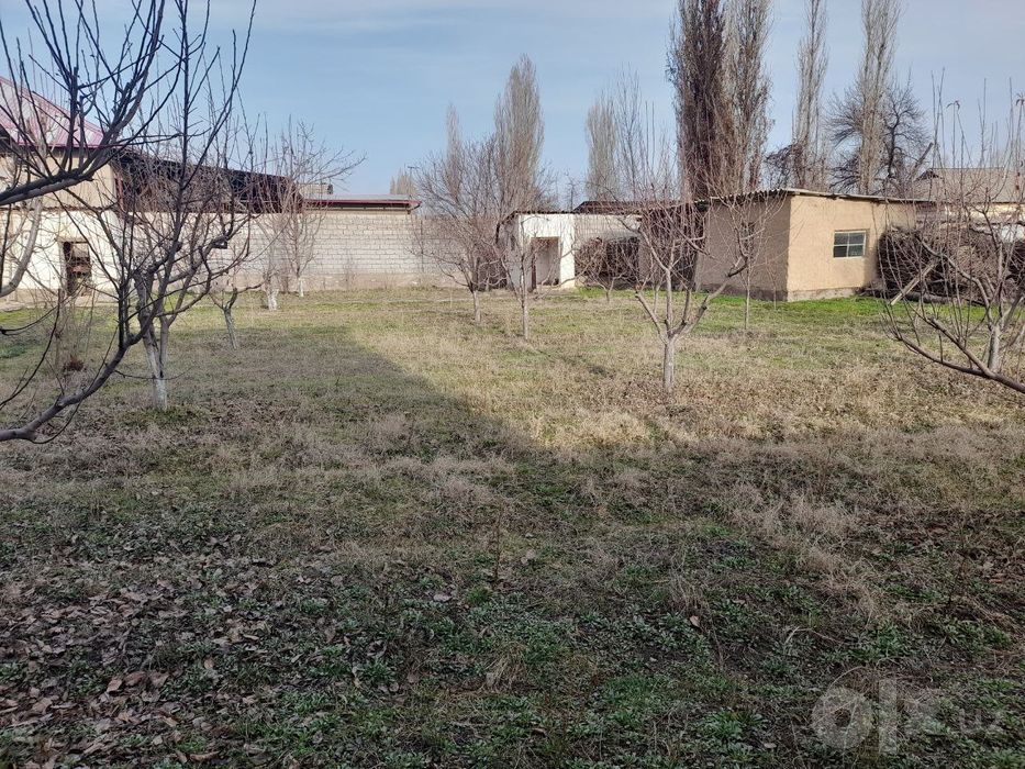5сотох йер сотіладі срочно