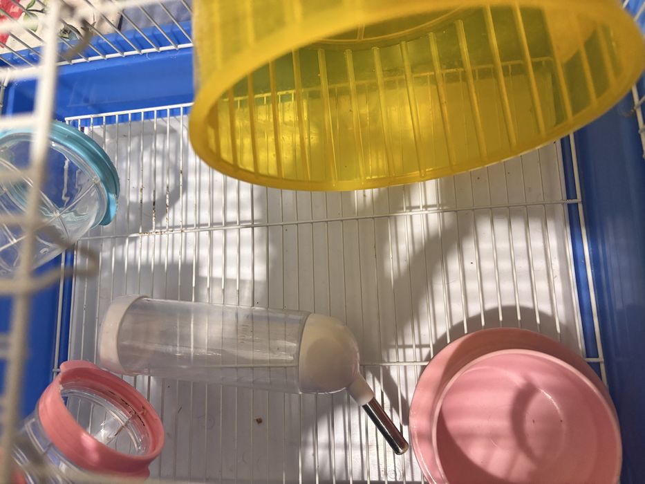Set complet pentru hamster – cușcă + accesorii + hrană + așternut