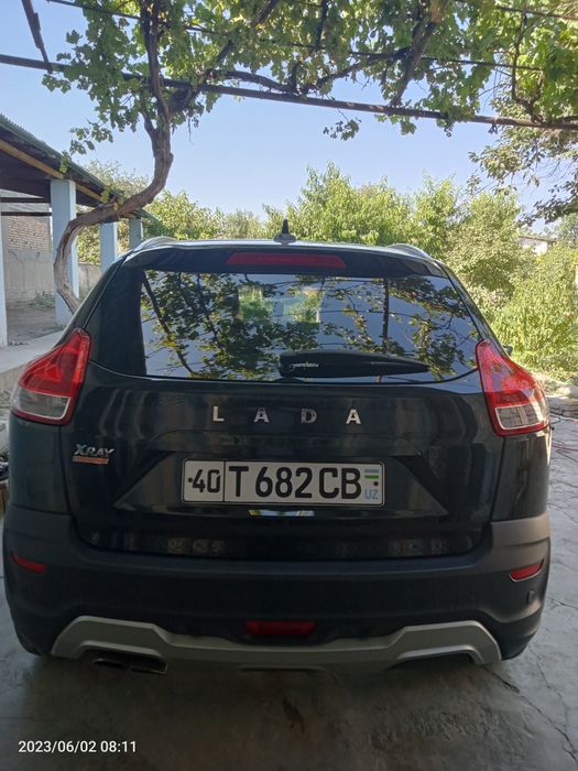 Other X-Ray 2019 — 6