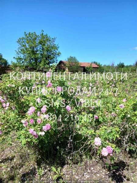 Продава се Къща в с. Старосел, Област Пловдив - 60 кв.м за 566 €/кв.м - Снимка #3