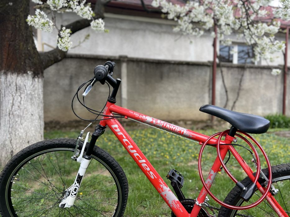 Bicicleta Brcycles Target Rosie