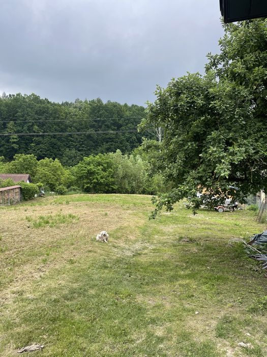 Vand casa langa padure Buhoci