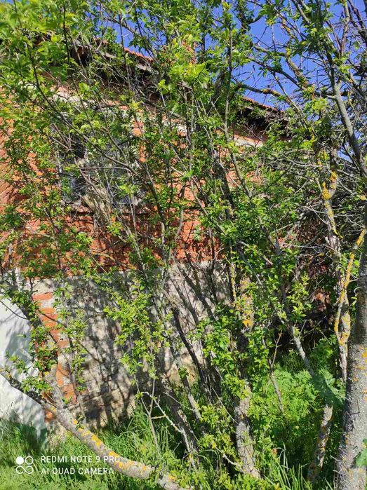 Продава се Къща в с. Болярско, Област Ямбол - 185 кв.м за 88 €/кв.м - Снимка #4