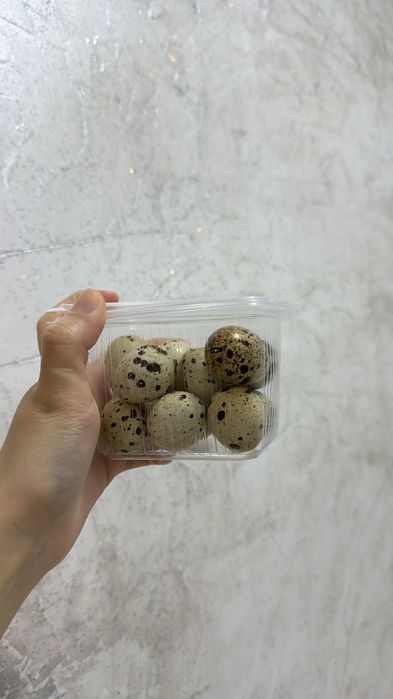 Инкубационные яица