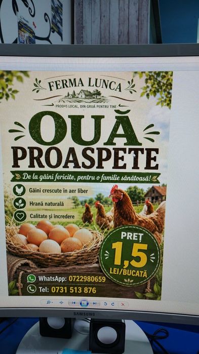 Ouă proaspete de țară