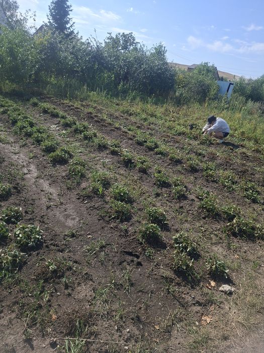 Продам  дачу !!!