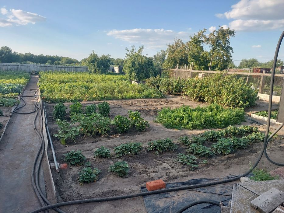 Продам дом в п.Садчиковка.