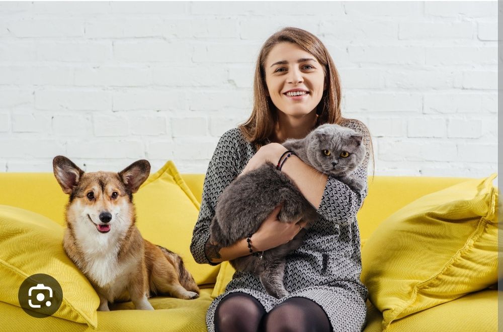 Pet sitter (de preferabil pisici/motani)