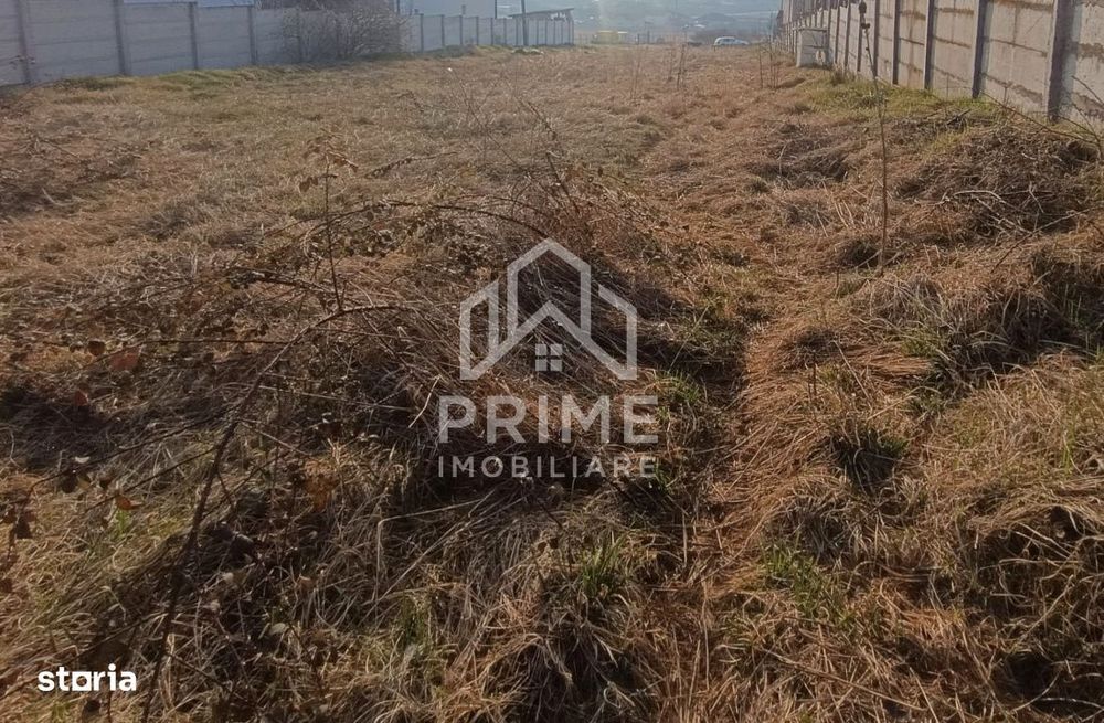 Teren intravilan 2600 mp | 2 deschideri | utilitati in zona | Micesti