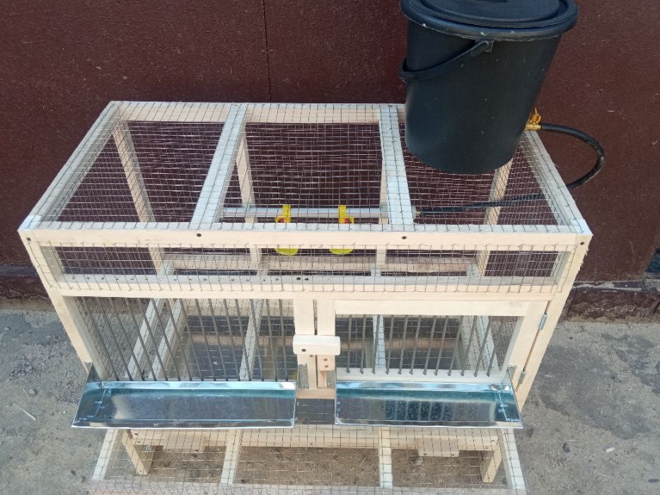 клетка для кур с откатом для яйц