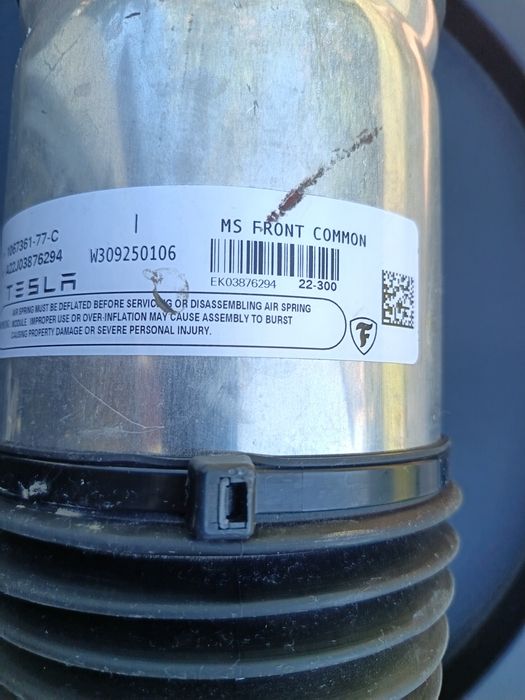 Perne aer Bilstein pentru Tesla MS și MX
