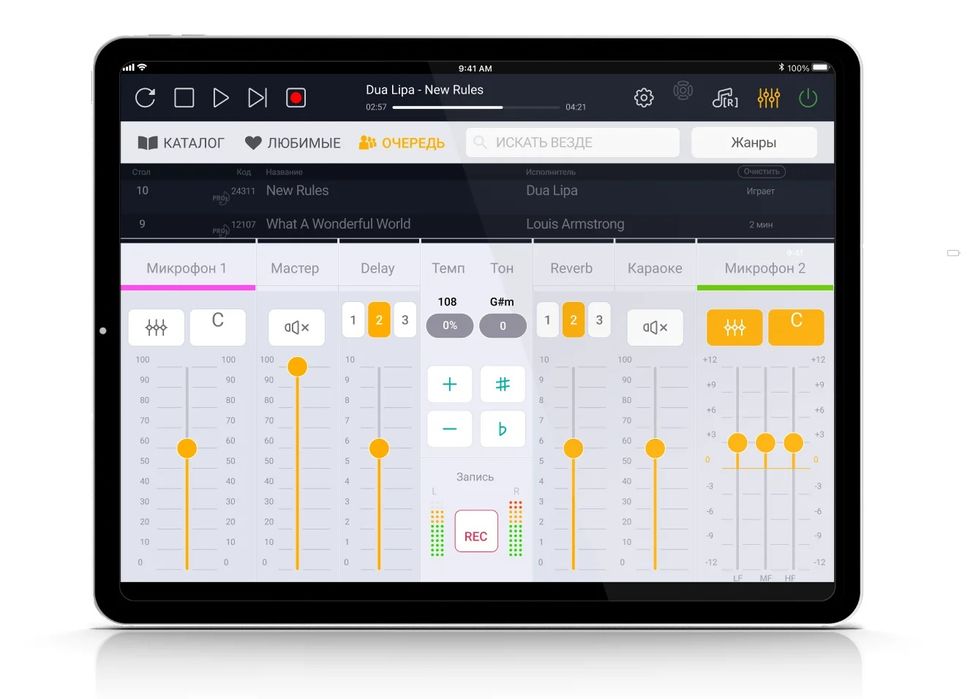 Аренда караоке-систем evolution pro 2