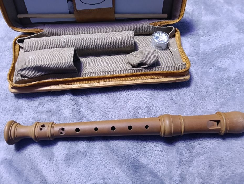 Instrument muzical