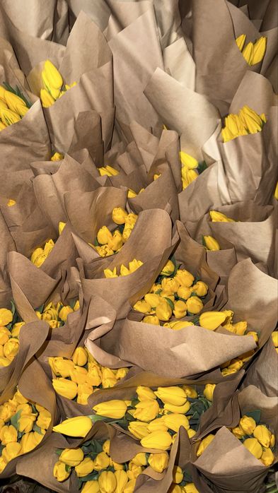 Цветы тюлпаны успейте