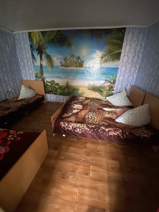 Сдам домики на бухтарме