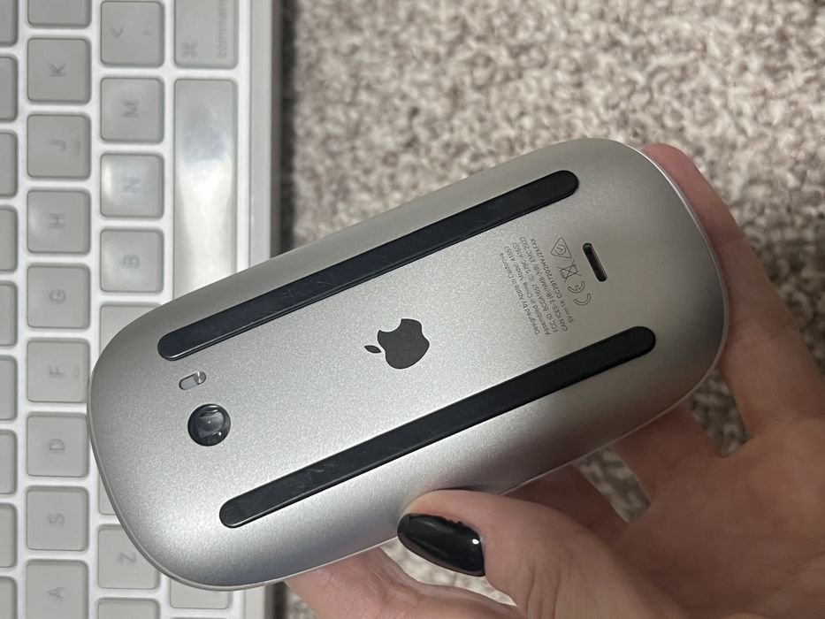 Tastatura si mouse Apple