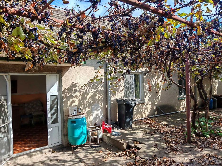 vand urgent negociabil Teren 1.056 Mp Cu Casă Și Spațiu Comercial – Lumina, Strada Mare Nr. 83 – Direct Proprietar352788