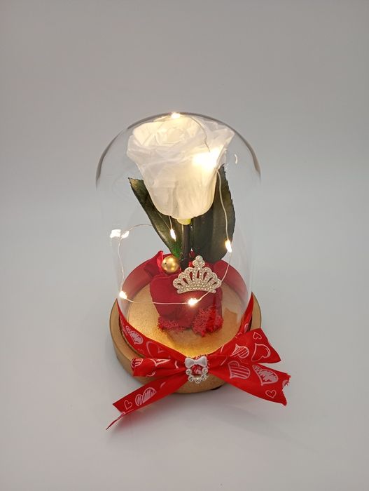 Trandafiri criogenati in cupola de sticla cu leduri cadoul perfect