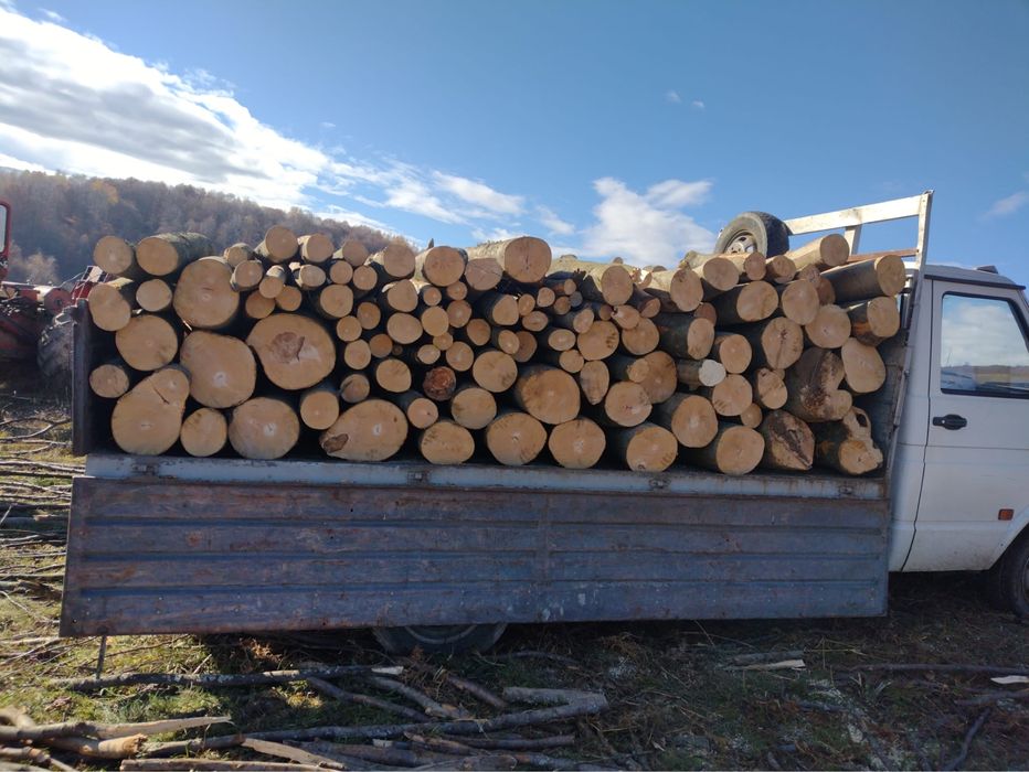 Vand lemne de foc la un pret avantajos:fag