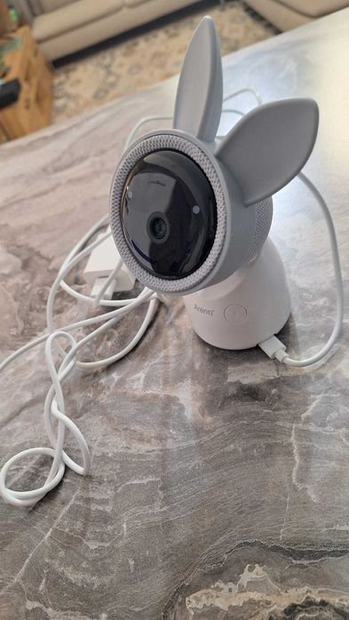 Camera Supraveghere Arenti