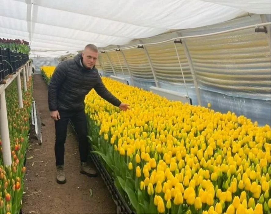 Тюльпаны оптом в Астане со склада