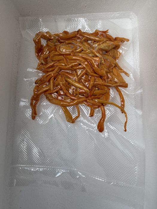 Кардицепс милитарис 100гр