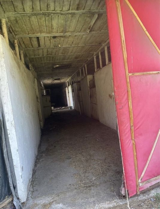 Конюшний 2 этажный