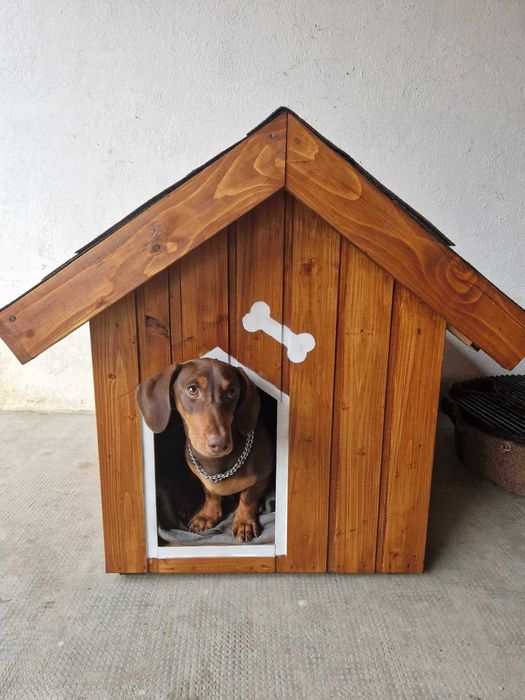 Cusca caine termoizolata